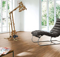 Parador Basic Plus 200 1426416 Грецкий Орех фото 3 | FLOORDEALER